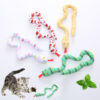 Interactive Cartoon Snake Cat Mint Plush Biting Toy