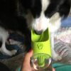 Portable Dog Drinking Water Bottle Feeder Dispenser