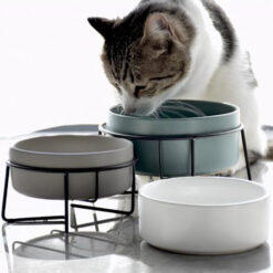 Ceramic Neck Protection Pet Food Water Feeder Bowl