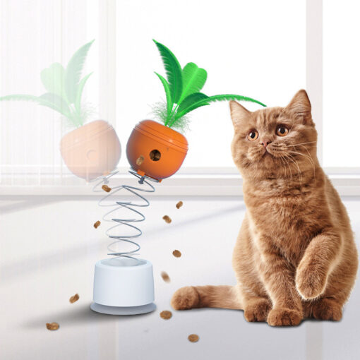 Interactive Spring Carrot Food Feeder Cat Teaser Toy