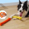 Interactive Molar Stick Bite Resistant Dog Chew Toy