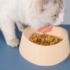 Strawberry Shape Anti-Slip Pet Drinking Feeder Bowl
