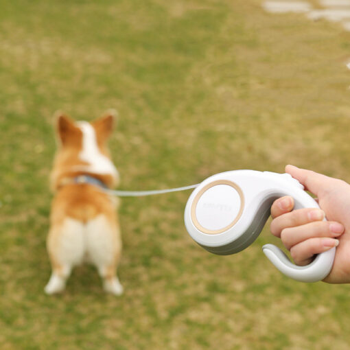 Automatic Retractable Extending Dog Leash Rope