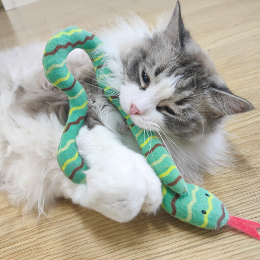 Interactive Cartoon Snake Cat Mint Plush Biting Toy