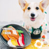 Foldable Pet Hide Food Sniffing Breakfast Pot Vocal Toys