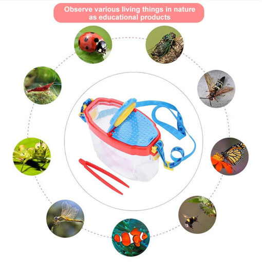 Insect Viewer Magnifier Observer Children Learning Toy