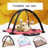 Multifunctional Cartoon Play Tent Cat Hammocks Toy