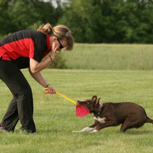 Interactive Pet Biting Chewing Teeth Coarse Tug Toy