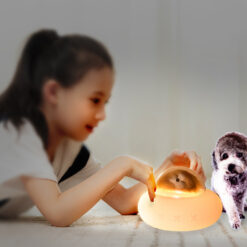 Cartoon Silicone Colorful LED Charging Night Light