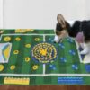 Durable Pet Food Feeder Sniffing Training Blanket Pad