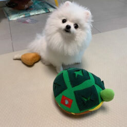 Turtle Shape Pet Hidden Food Sniffing Chew Toy