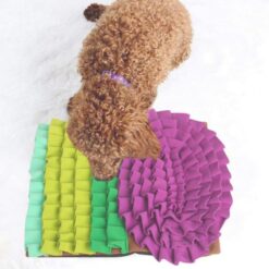 Interactive Slow Food Feeder Puzzle Pet Sniffing Mat