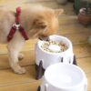 Anti-Chocking Wet Dry Pet Slow Food Feeder Bowl