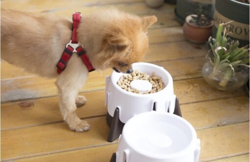 Anti-Chocking Wet Dry Pet Slow Food Feeder Bowl