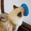 Silicone Pet Slow Food Feeder Licking Plate Pad