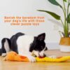 Cute Interactive Pet Hide Food Sniffing Sounds Toy