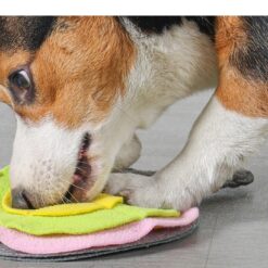 Table Tennis Racket-shaped Nose Training Sniffing Mat