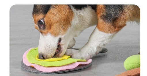 Table Tennis Racket-shaped Nose Training Sniffing Mat