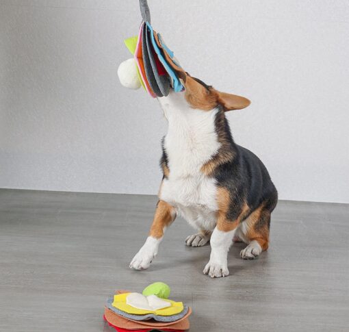 Table Tennis Racket-shaped Nose Training Sniffing Mat