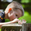 Children's Archeological Peculiar Mineral Digging Toys