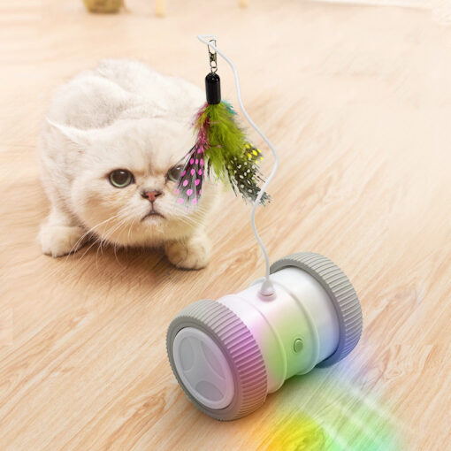 Interactive Electric USB Roller Tumbler Swing Cat Toy