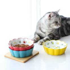 Non-Spil Ceramic Wood Base Pet Food Feeder Bowl