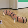 Interactive Cat Bending S-shaped Collapsible Tunnel Toys