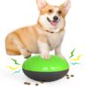 Interactive Pet Slow Food Leaking Ball Training Toy