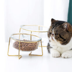 Durable Transparent Elevated Pet Food Feeder Bowl