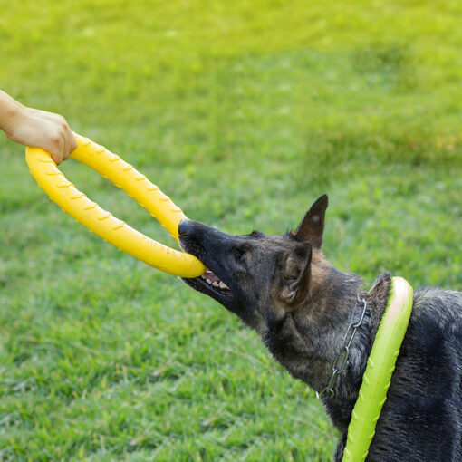 Interactive Dog Flying Frisbee Training Ring Chew Toy