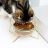 Durable Transparent Elevated Pet Food Feeder Bowl