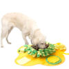 Interactive Slow Food Feeding Puzzle Sniffing pad