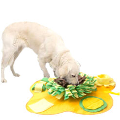 Interactive Slow Food Feeding Puzzle Sniffing pad