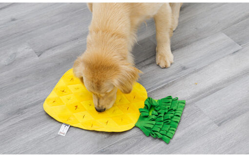 Creative Pineapple Shape Pet Nose Training Sniffing Pad