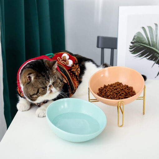 Creative Round Ceramic Elevated Pet Food Bowl