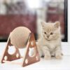 Interactive Wooden Cat Scratching Grinding Claw Toy