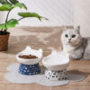 Double Ceramic Anti-overturning High Foot Pet Bowl