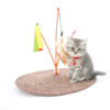 Funny Cat Scratch Pad Feather Stick Swing Tree Toy