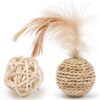 Funny Interactive Rattan Bell Ball Feather Cat Toy