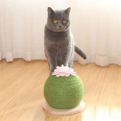 Interactive Cactus Shape Cat Scratching Claw Board Toy