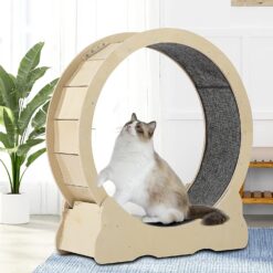 Cute Cat Treadmill Exercise Wheel Scratching Toy