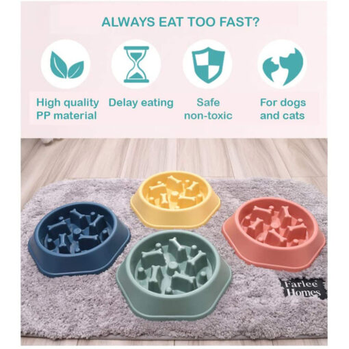 Durable Anti-Gulping Pet Slow Food Feeder Bowl