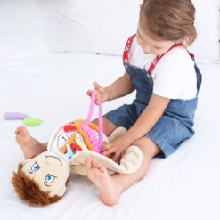 Children's Human Body Doll Baby Organs Structure Toy