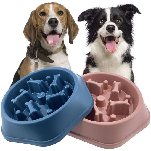 Durable Anti-Gulping Pet Slow Food Feeder Bowl