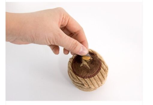 Interactive Walnuts Dog Hidden Food Plush Chew Toy
