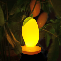 USB Rechargeable Fruit Shape Dimming LED Light Lamp