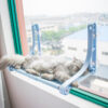 Suction Cup Window Hanging Cat Nest Hammock