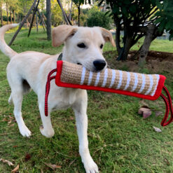 Interactive Bite-resistant Dog Biting Stick Chew Toy