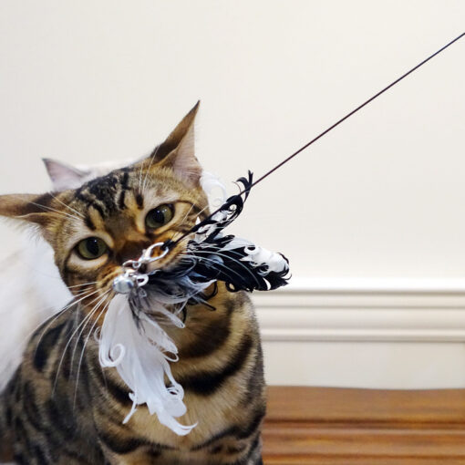 Interactive Funny Cat Stick Bird Feather Wire Toy