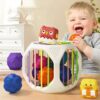 Cute Baby Early Educational Sensory Shape Sorter Toy